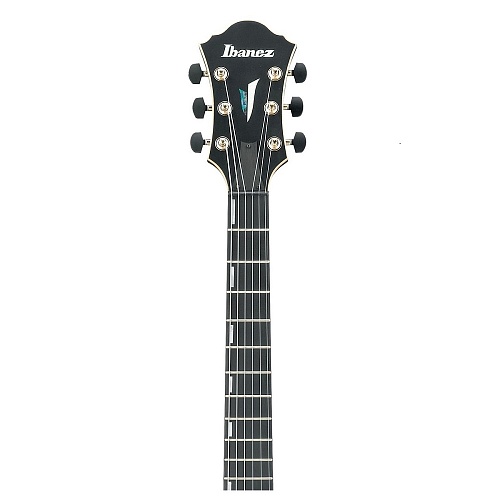 IBANEZ AFC125-BKF Archtop Полуакустическая электрогитара