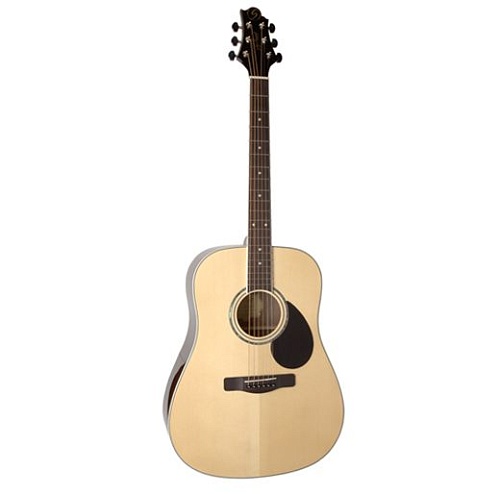 GregBennett GD100RS/N    акустическая гитара