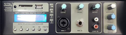 Soundking PA8M Портативная акустическая система