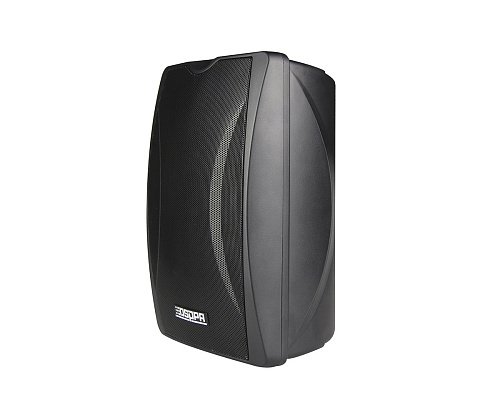 DSPPA DSP-6606N IP Громкоговорители (пара)