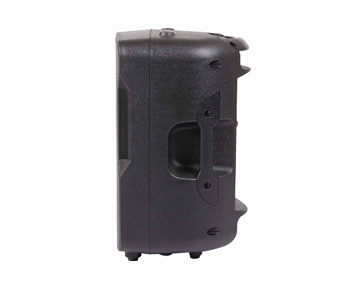 BLG BP13 10A10 Акустическая система активная