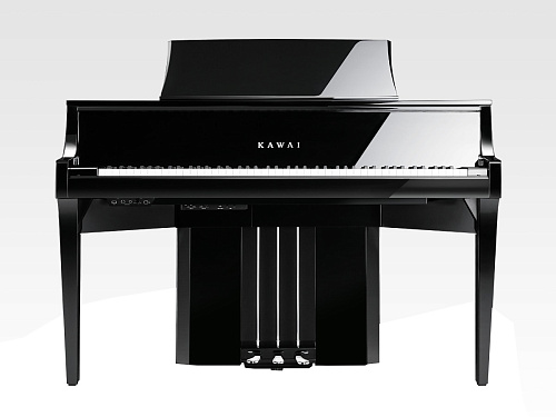 Kawai NV10S Цифровой рояль, черный