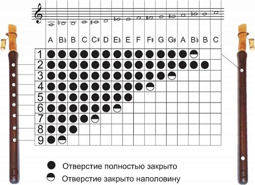 Ararat M550PRO C Дудук C/До