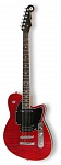 :REVEREND Signature REEVES GABRELS 