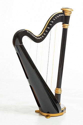 Resonance Harps MLH0024 Iris Арфа 21 струнная (A4-G1), цвет черный глянцевый