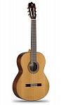 Фото:Alhambra 804-3С Classical Student 3C Классическая гитара
