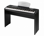 Фото:Kurzweil MPS10 Цифровое пианино