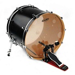 :Evans BD22HG Hyaulic Glass   - 22"