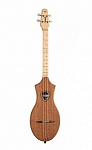 :Seagull 041725 M4 G Mahogany 