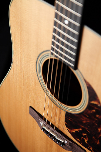 Takamine EF340S-TT Акустическая гитара с предусилителем TLD-2