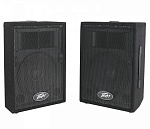 :Peavey PVi 10    (),     100 