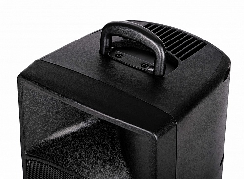 Leem PR-8 Акустическая система, аккумуляторная