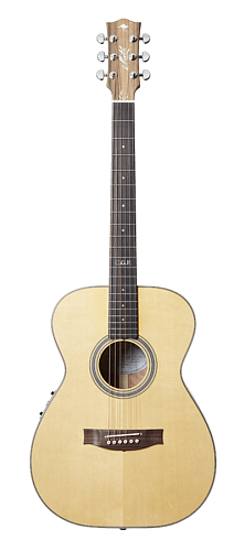 Maton Custom-Shop-TE-Personal Электроакустическая гитара