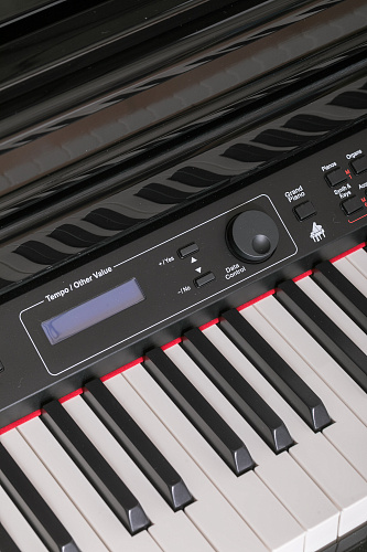 Orla Grand-500-Black Цифровой рояль, с автоаккомпанементом, черный