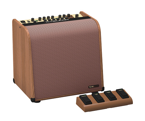 TC Helicon Harmony V100 2-х канальный комбоусилитель для акустической гитары/вокала, 100 Вт