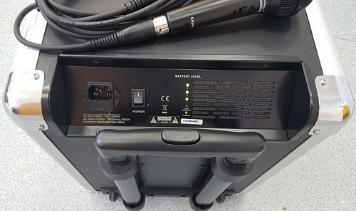 Soundking PA8M Портативная акустическая система