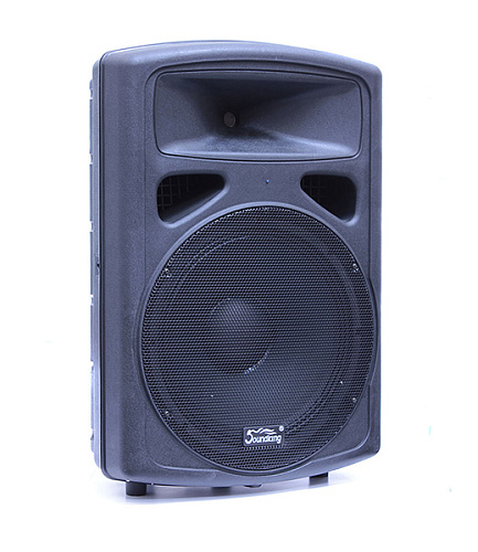 Soundking FP0215 Пассивная акустическая система, 225 Вт