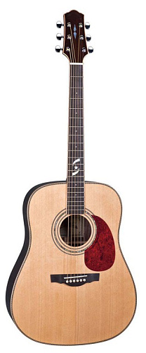 Naranda DG405S Акустическая гитара