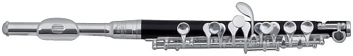 Roy Benson PC-502 Флейта Piccolo