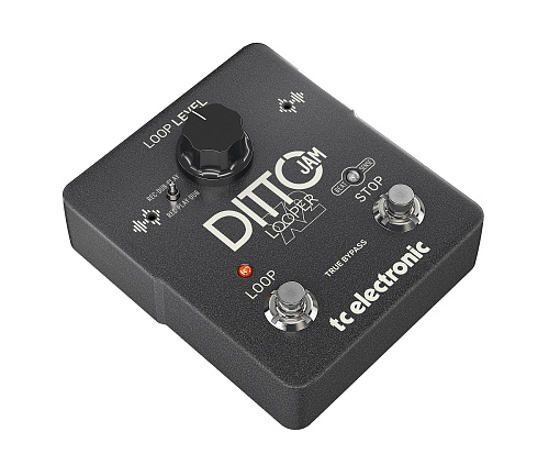 TC Electronic DITTO JAM X2 LOOPER Интуитивный лупер с технологией BeatSense