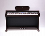 :MEDELI DP-268  
