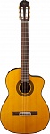 :TAKAMINE GC1CE NAT   