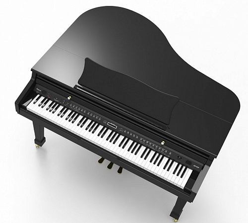 Ringway GDP6320 Polish Black Цифровой рояль