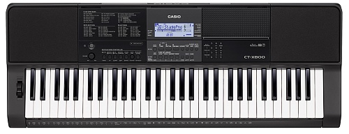 Casio CT-X800 , 61 .