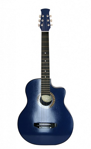 Ижевский завод Т.И.М 42C-BL Акустическая гитара