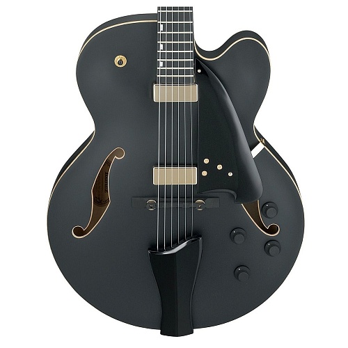 IBANEZ AFC125-BKF Archtop Полуакустическая электрогитара