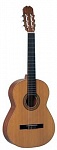 :PEREZ 620 Spruce  