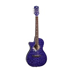 :Luna FLO PF QM Lefty passionflowers      