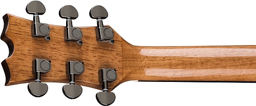 Dean AX PDY GN PK Комплект: акустическая гитара, аксессуары