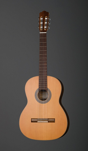 Hora SS300 Eco Walnut Классическая гитара