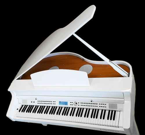 Medeli GRAND510(GW) Цифровой рояль