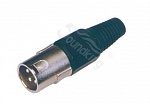 :Soundking CA102    XLR male 3