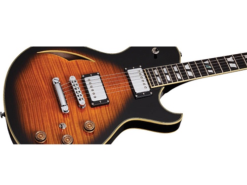 Schecter SOLO-6 CUSTOM E/A Гитара полуакустическая