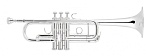 Фото:Vincent Bach C190SL229 (Пр-во США) Stradivarius Труба "C"