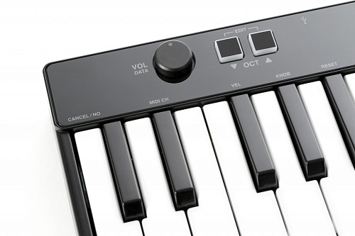 IK MULTIMEDIA iRig Keys 25 USB/миди-клавиатура для Mac, PC, 25 клавиш