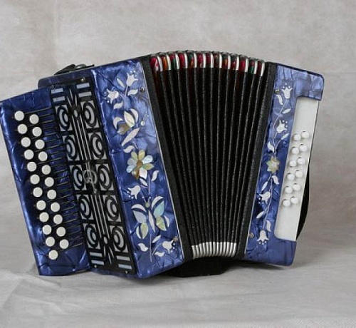 Тульская Гармонь ГН-7 «Сказка» 23х12-I