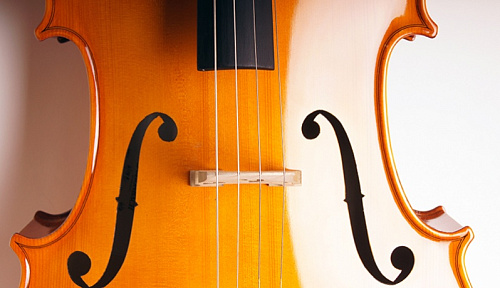 Strunal 4/17C-4/4 Виолончель 4/4