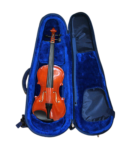 Мозеръ BV44-PS Чехол под кофр для cкрипки 3/4-4/4