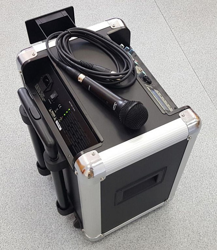 Soundking PA8M Портативная акустическая система
