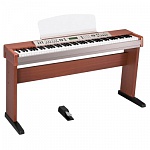:Orla Stage Ensemble  ,  