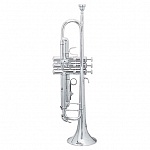 Фото:Trevor James Renaissance TJTR4500SP Bb Труба