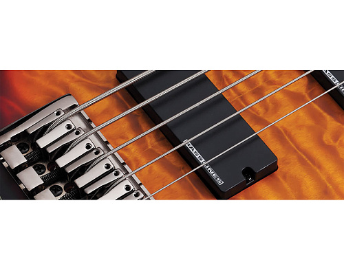 Schecter BLACKJACK ATX C-5 Бас-гитара электрическая