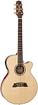 Фото:TAKAMINE TSP138CN Электроакустическая гитара, в комплекте кейс