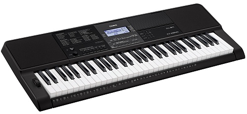 Casio CT-X800 , 61 .