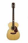 :Maton EBG808TE  