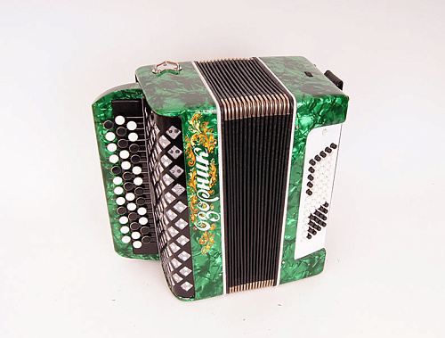 Тульская Гармонь BN-39-GR Баян ученический двухголосный "Тула-210", 55х100-II, зеленый
